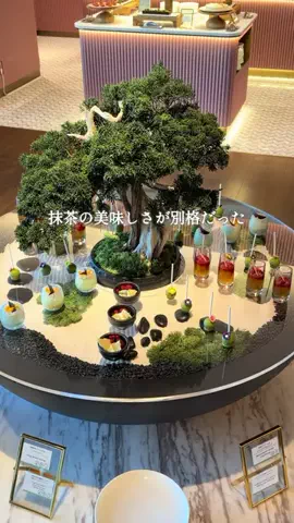 はなとものTikTok投稿