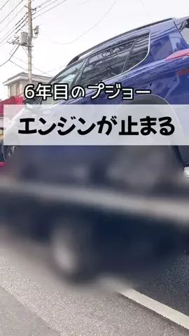 yotsubaのTikTok投稿