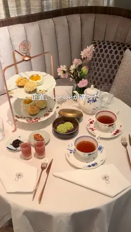 はなとものTikTok投稿