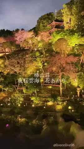 ＊hitohira＊のTikTok投稿