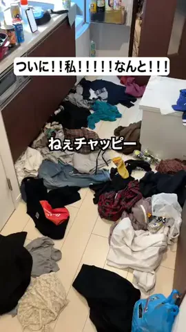 なーちゃん/AIと泥酔ネキのTikTok投稿