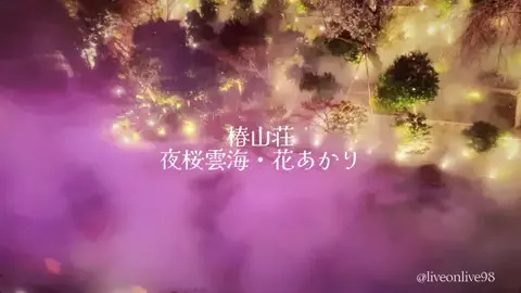 ＊hitohira＊のTikTok投稿