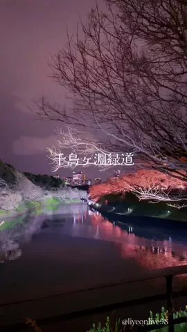 ＊hitohira＊のTikTok投稿