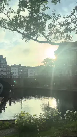 ( ᐡᴗ ̫ ᴗᐡ)💭のTikTok投稿