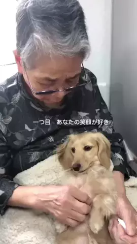 あむ🐶のTikTok投稿