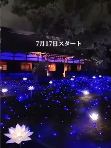 おりのTikTok投稿