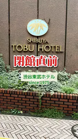 渋谷NEWSのTikTok投稿