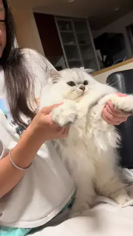 けいきゅうのTikTok投稿