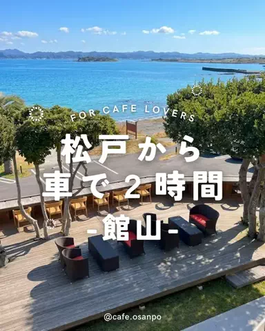 きなこのTikTok投稿