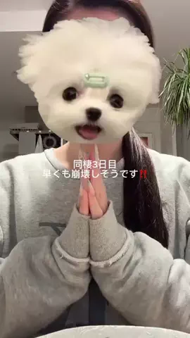 ゆりちゃんのTikTok投稿
