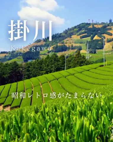 AyasaのTikTok投稿