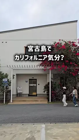 yuukaのTikTok投稿