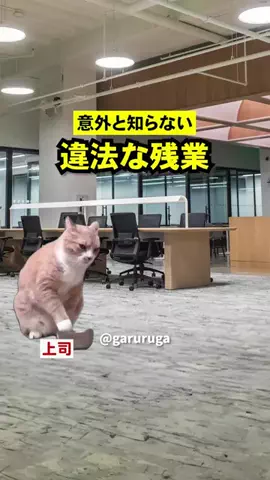 がるるがのTikTok投稿