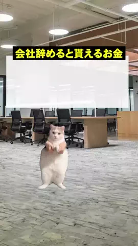 がるるがのTikTok投稿