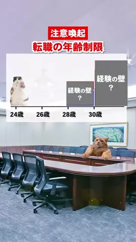 がるるがのTikTok投稿