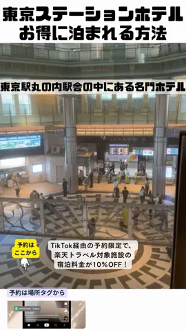 しー：0歳2歳の姉妹とお出かけのTikTok投稿