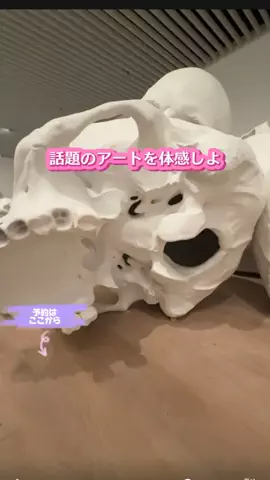 しー：0歳2歳の姉妹とお出かけのTikTok投稿