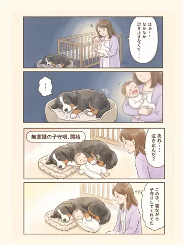 都内のチワワのTikTok投稿
