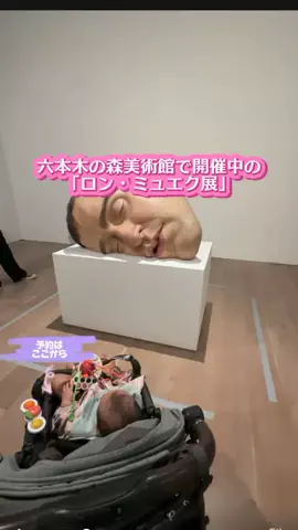 しー：0歳2歳の姉妹とお出かけのTikTok投稿