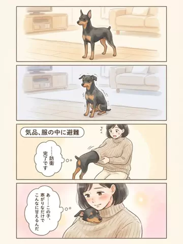 都内のチワワのTikTok投稿