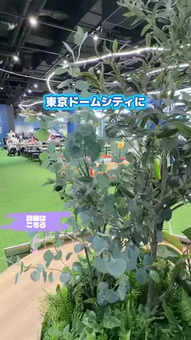 しー：0歳2歳の姉妹とお出かけのTikTok投稿