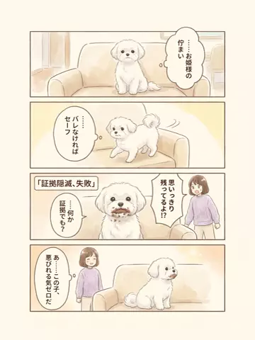 都内のチワワのTikTok投稿