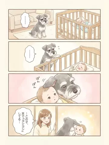 都内のチワワのTikTok投稿
