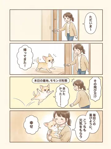都内のチワワのTikTok投稿
