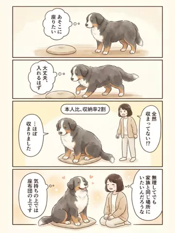 都内のチワワのTikTok投稿
