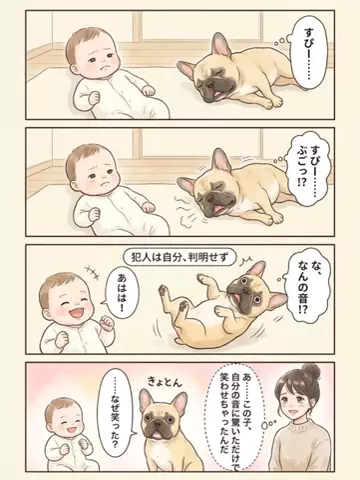 都内のチワワのTikTok投稿