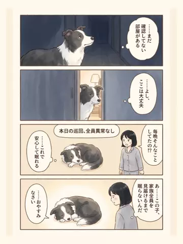都内のチワワのTikTok投稿