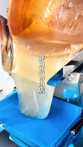 イネ🐧静岡おでかけ紹介のTikTok投稿