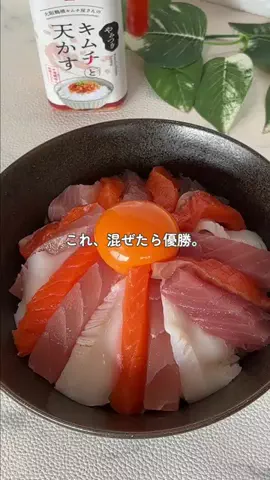 どんまる丼レシピ専門のTikTok投稿