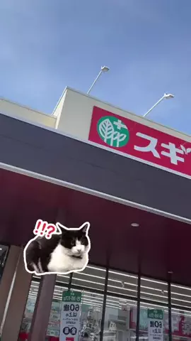 いくらちゃん|正直美容のTikTok投稿