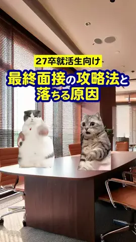 就活猫猫のTikTok投稿