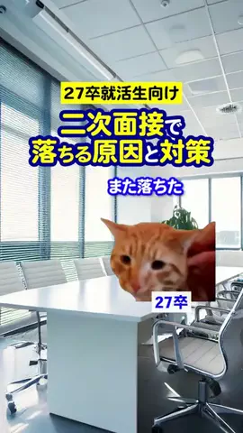 就活猫猫のTikTok投稿