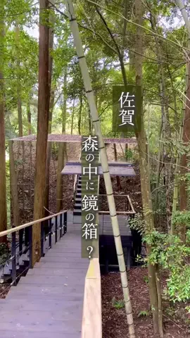みのたけ｜感動の旅とホテルのTikTok投稿