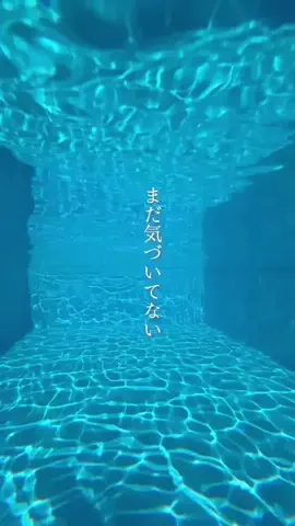 みのたけ｜感動の旅とホテルのTikTok投稿