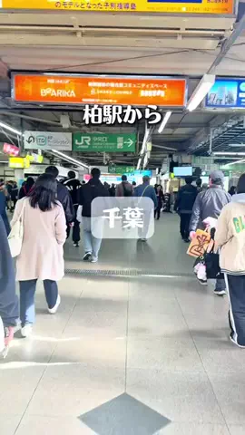 れい| 千葉グルメ&おでかけのTikTok投稿