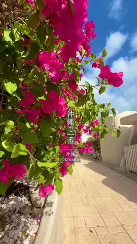 みのたけ｜感動の旅とホテルのTikTok投稿