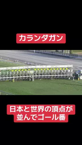 ナカムライダーのTikTok投稿