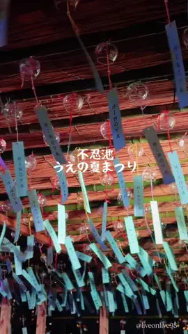 ＊hitohira＊のTikTok投稿