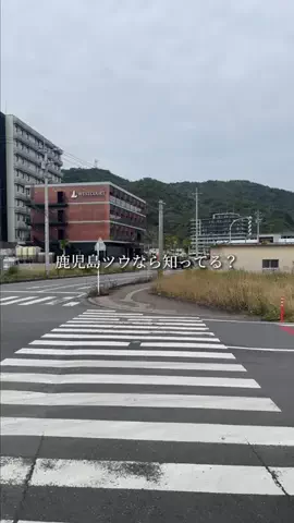 鹿児島グルメ／KAGOSHIMA SELECTのTikTok投稿