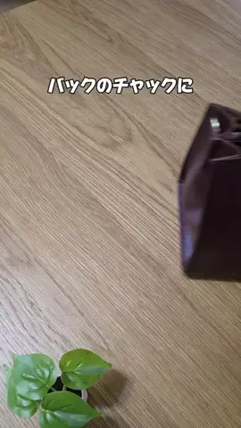 koara_lifehackのTikTok投稿