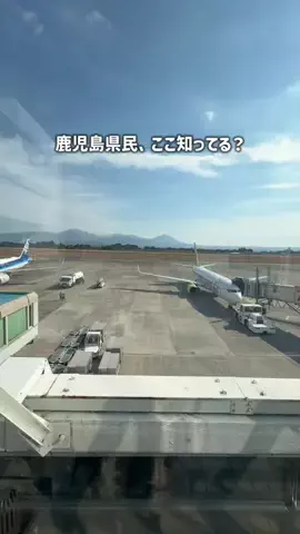 鹿児島グルメ／KAGOSHIMA SELECTのTikTok投稿