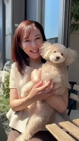 yuu_antiagingのTikTok投稿