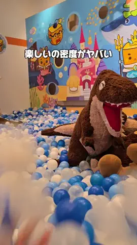 koara_lifehackのTikTok投稿