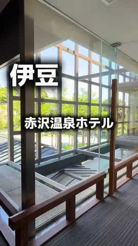 アラフォーの嗜みのTikTok投稿