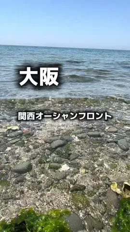アラフォーの嗜みのTikTok投稿