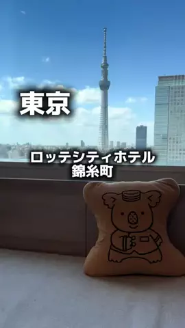 アラフォーの嗜みのTikTok投稿
